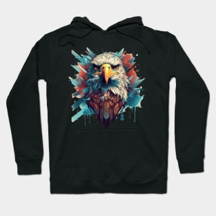 American Eagle Illustration Hoodie